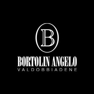bortolin logo