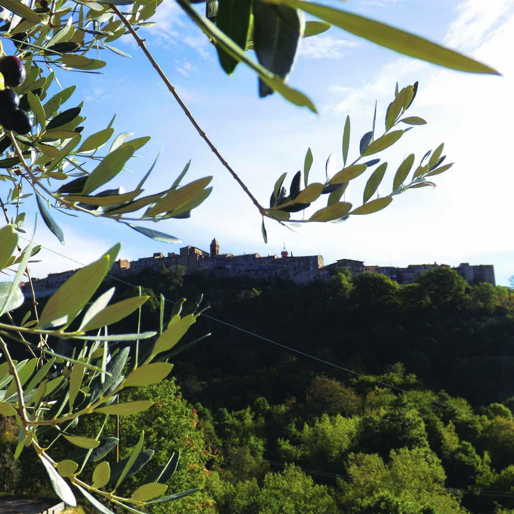 monteleone dorvieto 1