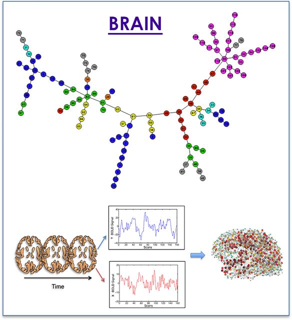 BRAIN Servizi Web 1C