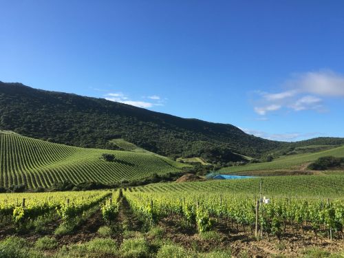 MONTESSU estate2