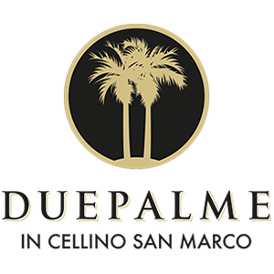 duepalme logo