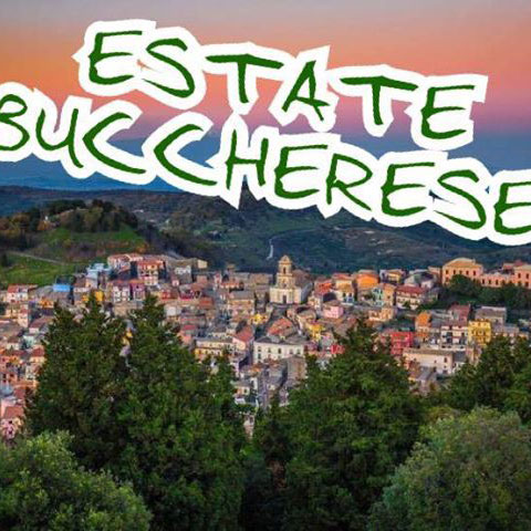 Estate Buccherese