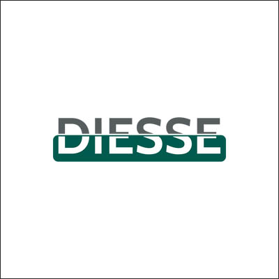 logo diesse